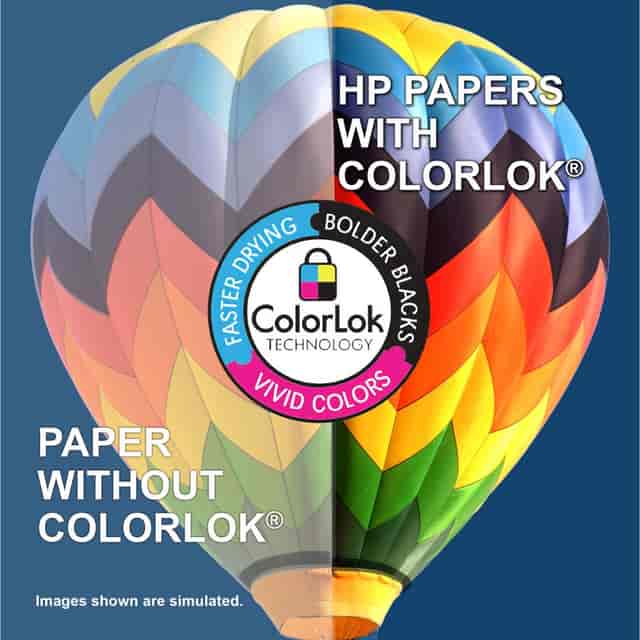 HEW205200 Product Image 6
