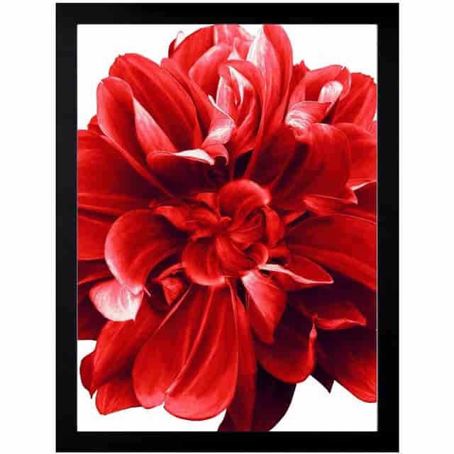 LLR49211 Product Image 3
