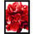 LLR49211 Image Thumbnail 2