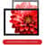 LLR49211 Image Thumbnail 16