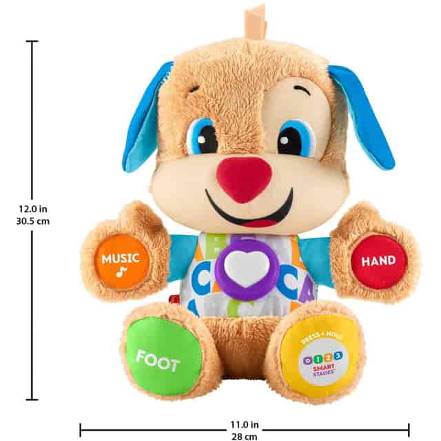 FIPFDF21 Product Image 2