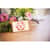 BRTCZ1005 Image Thumbnail 10
