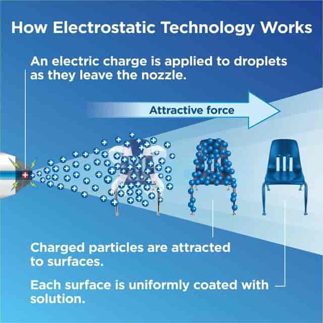 CLO60025 Product Image 6