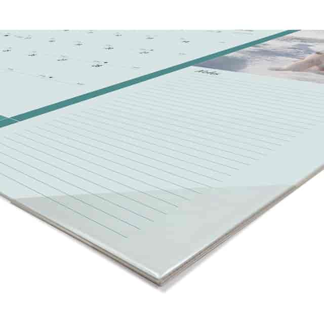 REDC194116 Product Image 6