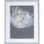 LLR04478 Image Thumbnail 1