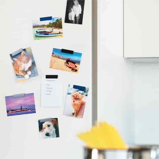 DBL470523 Product Image 10