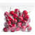 GJO11575CT Image Thumbnail 5