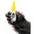 GOR7500101 Image Thumbnail 11