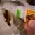 GOR7600101 Image Thumbnail 17
