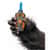 GOR6770002 Image Thumbnail 8