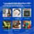 CLO32260 Image Thumbnail 9