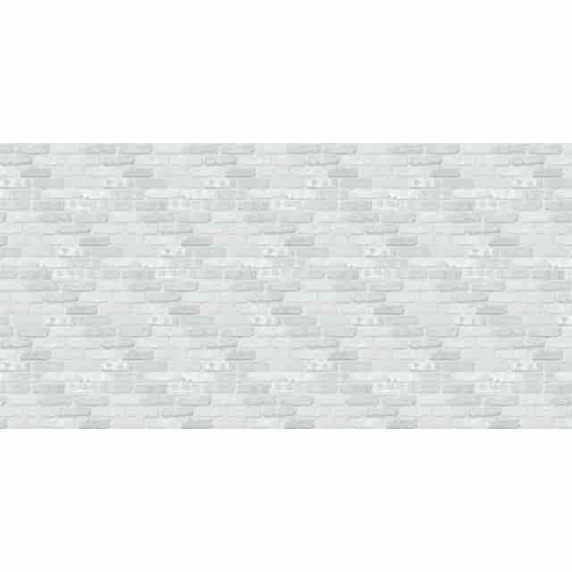 PACP56905 Product Image 2