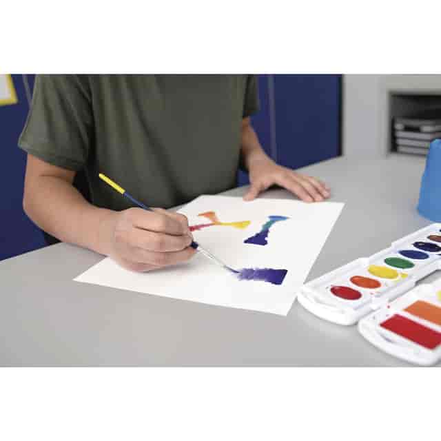 PACP4943 Product Image 7