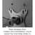 LLR99801 Image Thumbnail 14