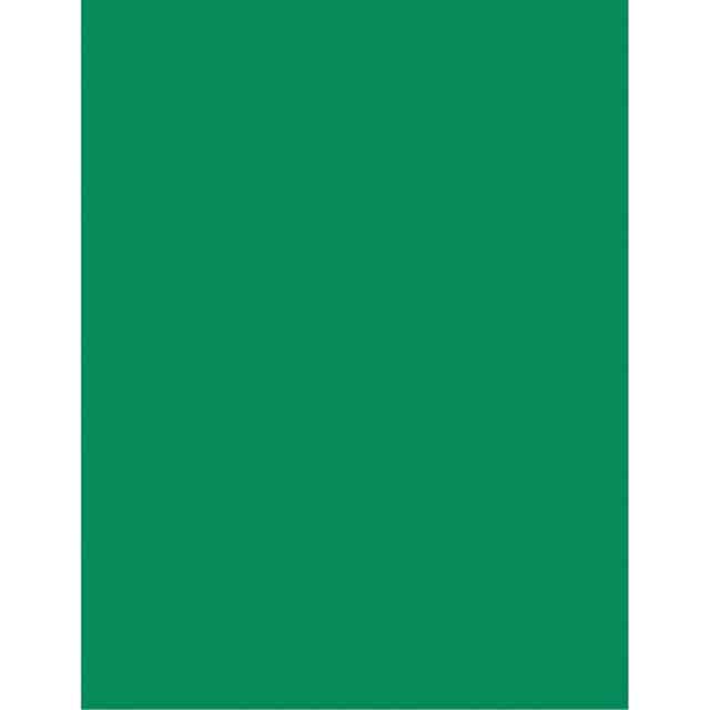 PACP101170 Product Image 3