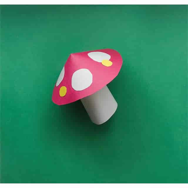 PACP6555 Product Image 2
