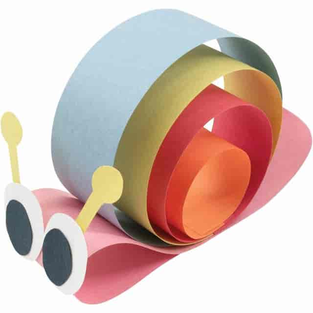 PACP6555 Product Image 3