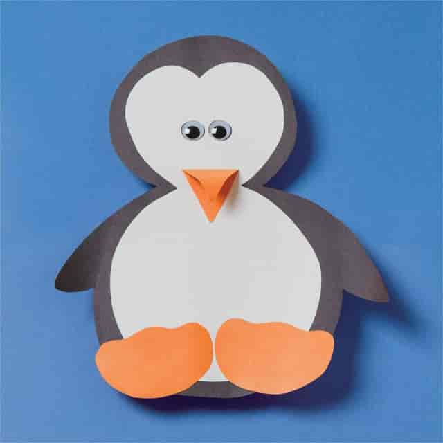 PACP0094450 Product Image 5