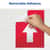 AVE83091 Image Thumbnail 4