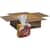 GPC29322 Image Thumbnail 1