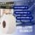 GJO35100112 Image Thumbnail 8