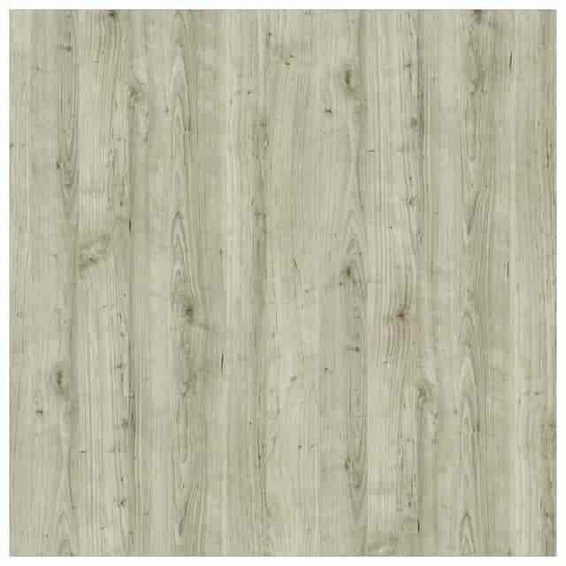 SCTSP2460AD Product Image 2