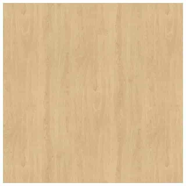 SCTSP2460CM Product Image 2