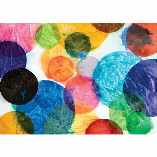 PACP0058530 Product Image 3