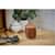 LAV48009 Image Thumbnail 14