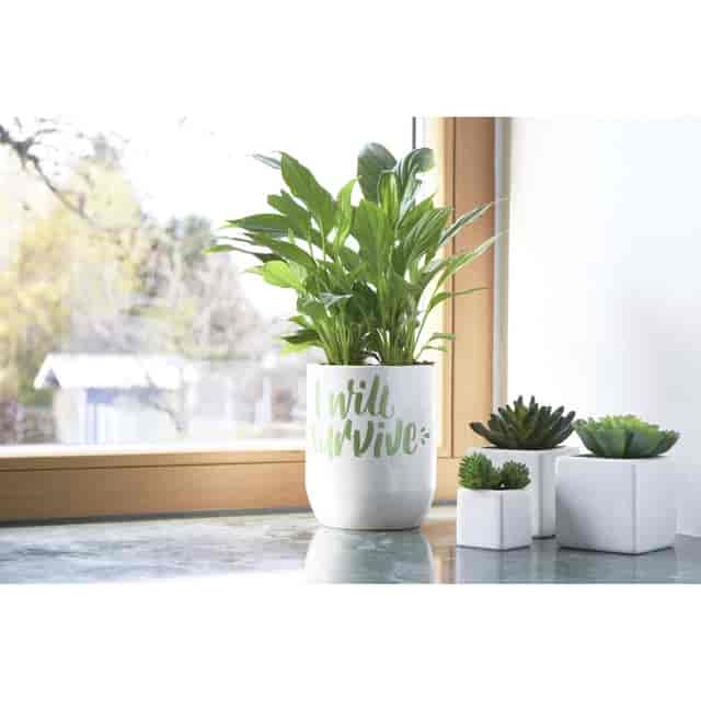 UBCPC5M16C Product Image 11