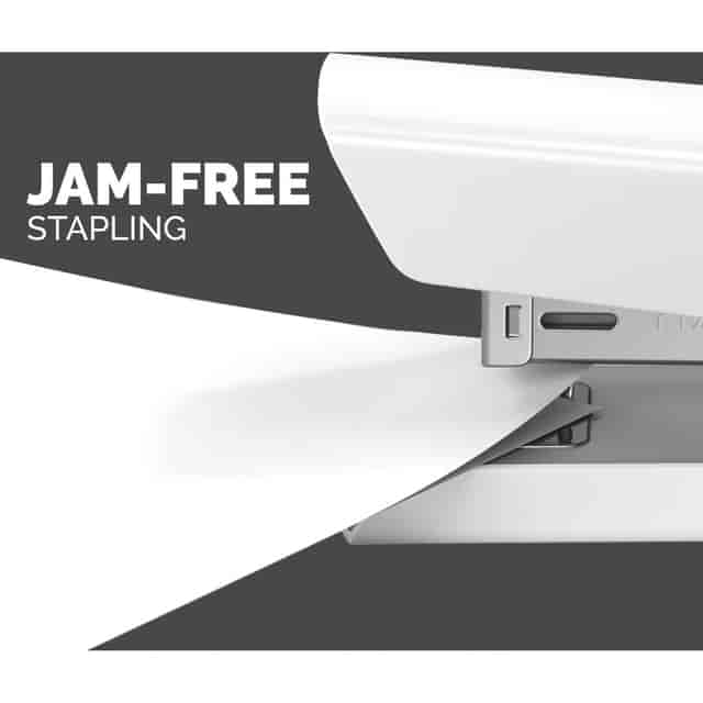 FEL5011401 Product Image 4