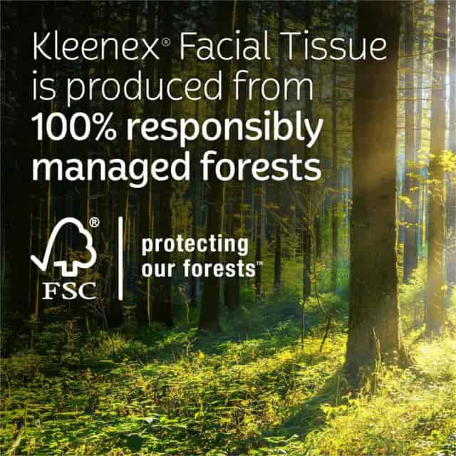 KCC54277 Product Image 2