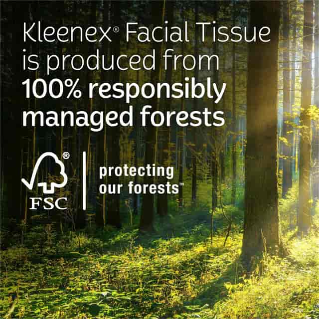 KCC38586 Product Image 2