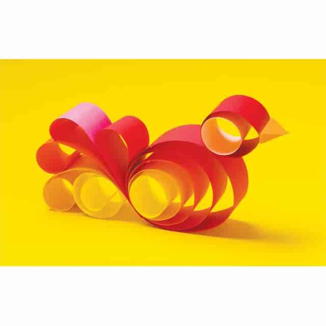 PACP6686 Product Image 7