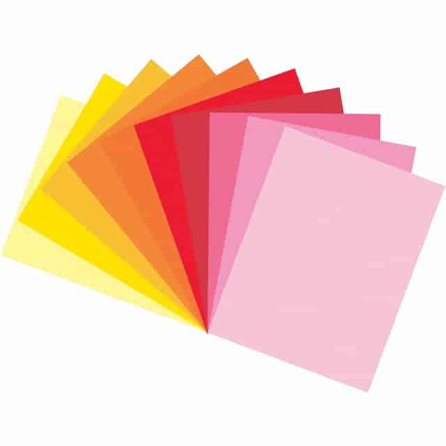 PACP6686 Product Image 4