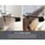BOS2200CLSMBK Image Thumbnail 13