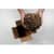 MMMPCW1230 Image Thumbnail 22