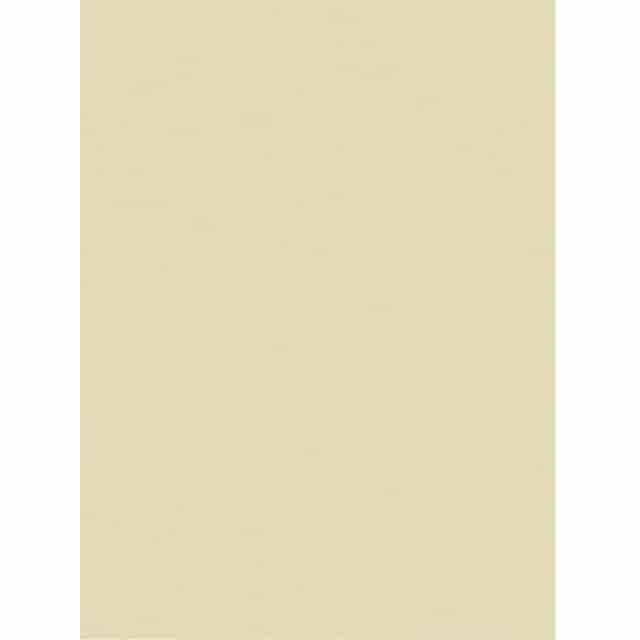 PACP103043 Product Image 3