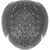 EGO23481 Image Thumbnail 2