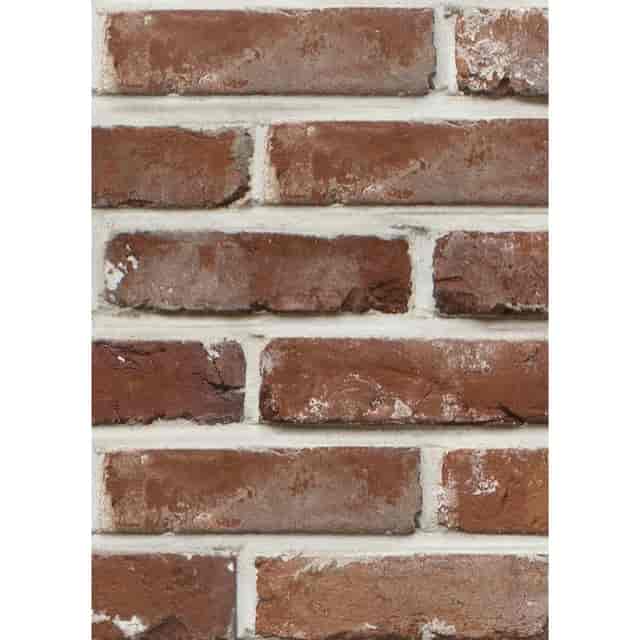 TCR77888 Product Image 2