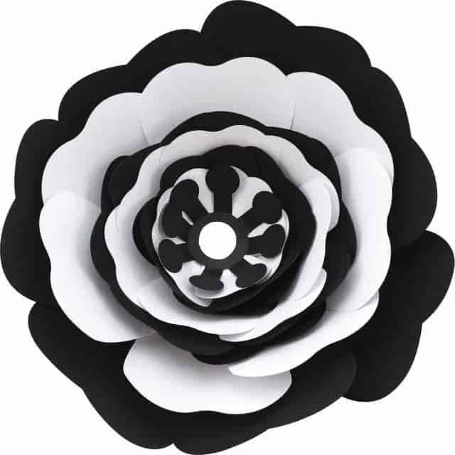 PACP6676 Product Image 7