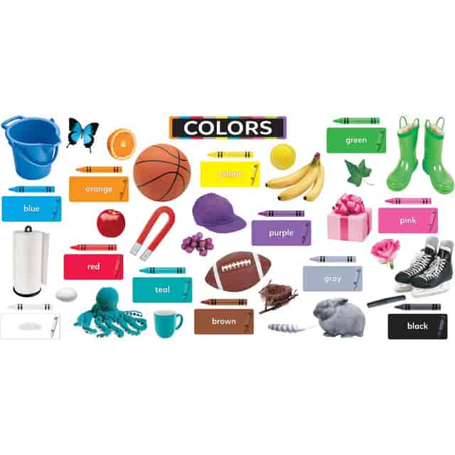 TEPT19005 Product Image 2