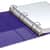 SAMMP286508 Image Thumbnail 2