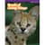 SHS1338099000 Image Thumbnail 14