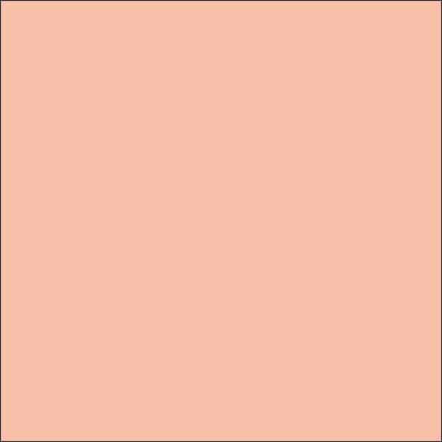 PACP0040015 Product Image 2