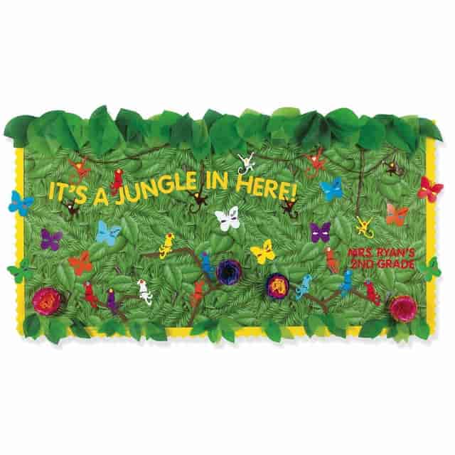 PACP0056255 Product Image 3