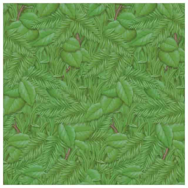 PACP0056255 Product Image 2