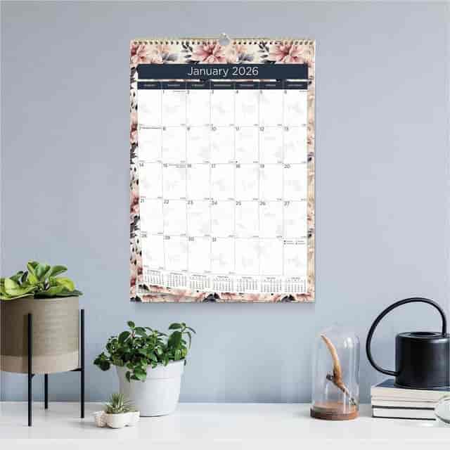 REDC173128 Product Image 7