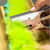 OIC97758 Image Thumbnail 12