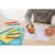 PAP1921221C Image Thumbnail 2